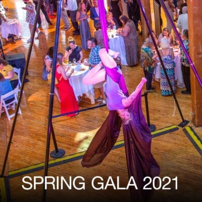 gala2021 gala2021