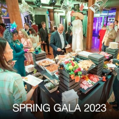 gala23 gala23